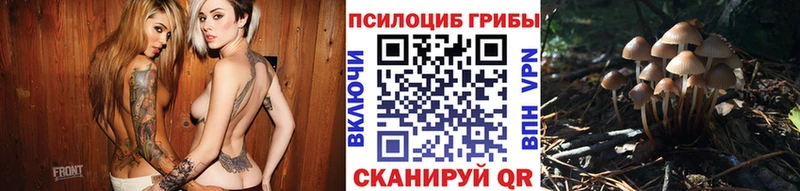 Галлюциногенные грибы GOLDEN TEACHER  Облучье 